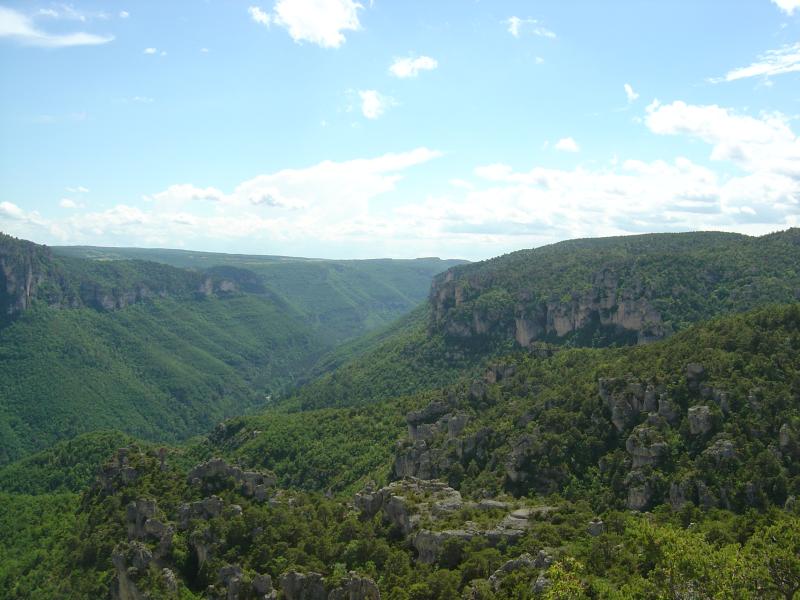 Millau