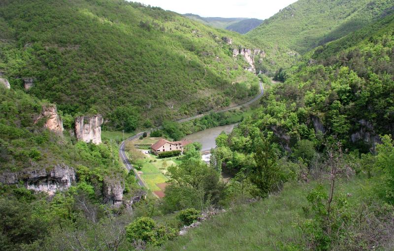 Saint-André-de-Vézines