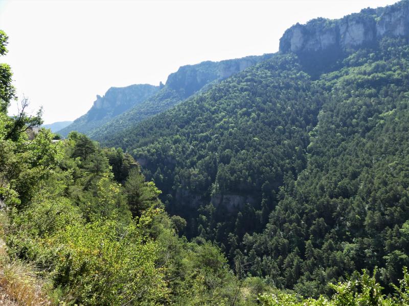 Veyreau