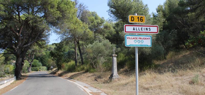 Alleins