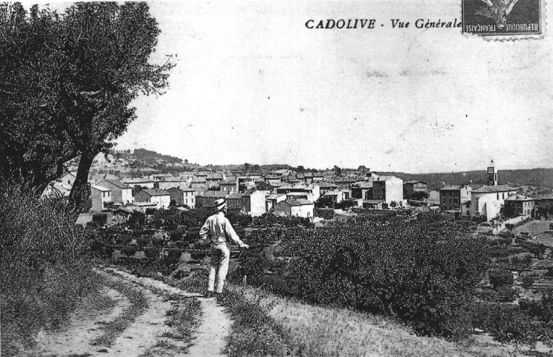 Cadolive