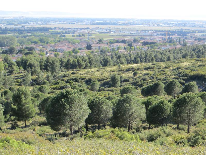 La Fare-les-Oliviers