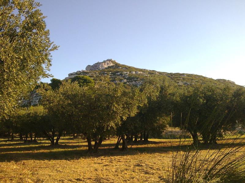 Maussane-les-Alpilles
