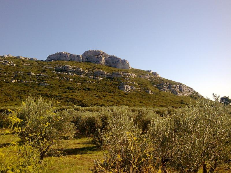 Maussane-les-Alpilles