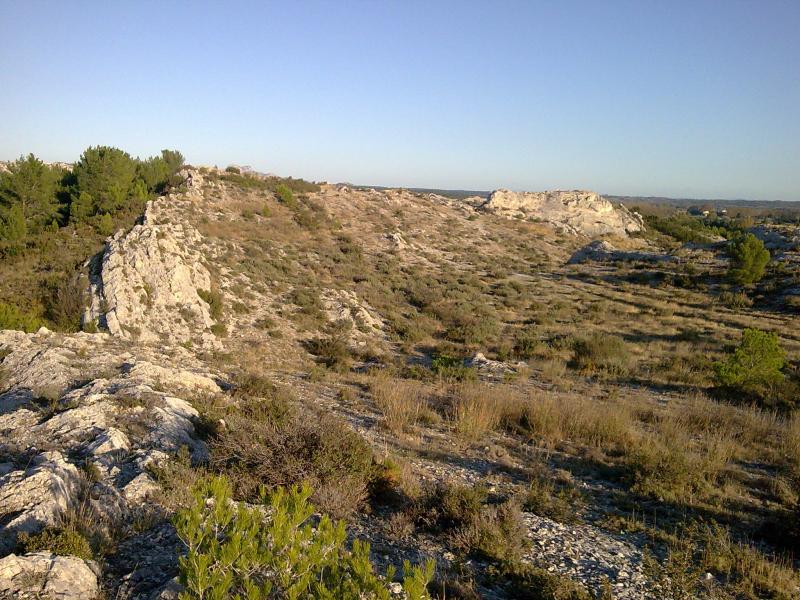 Maussane-les-Alpilles