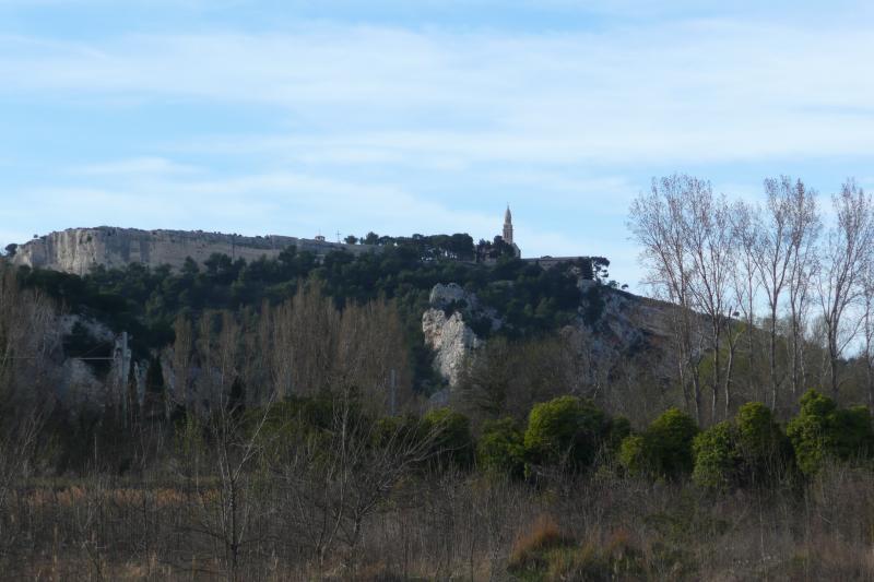 Orgon