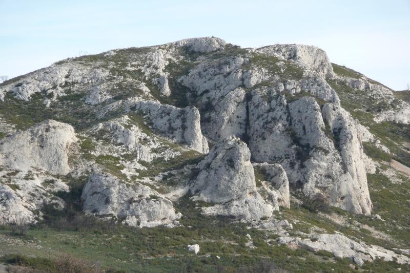 Orgon