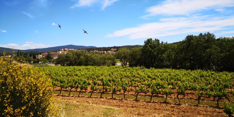 Vue de Peynier, Bouches-du-Rhône (13790)