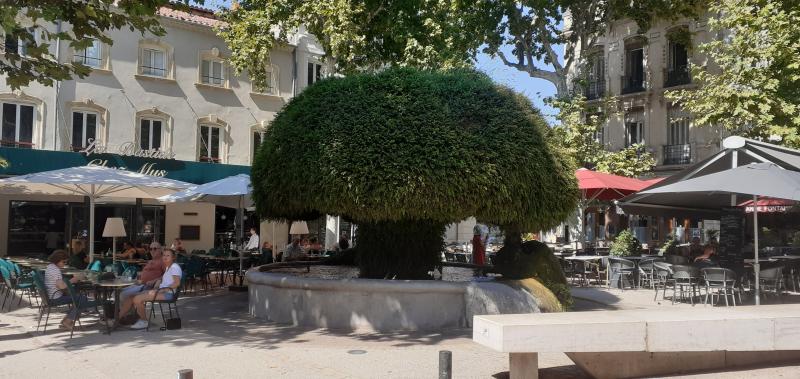 Salon-de-Provence