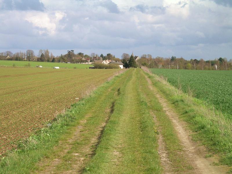 Cintheaux