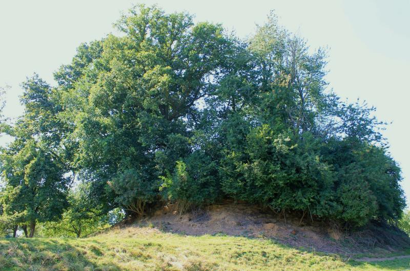 Drubec