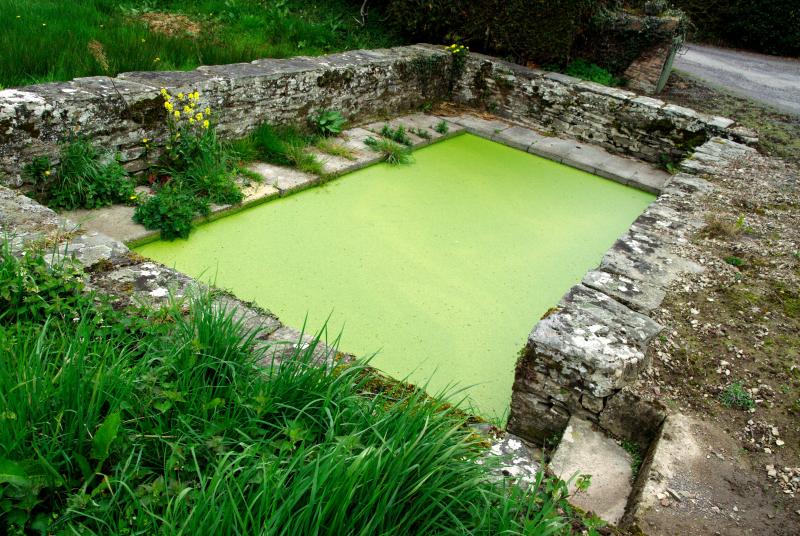 Épinay-sur-Odon