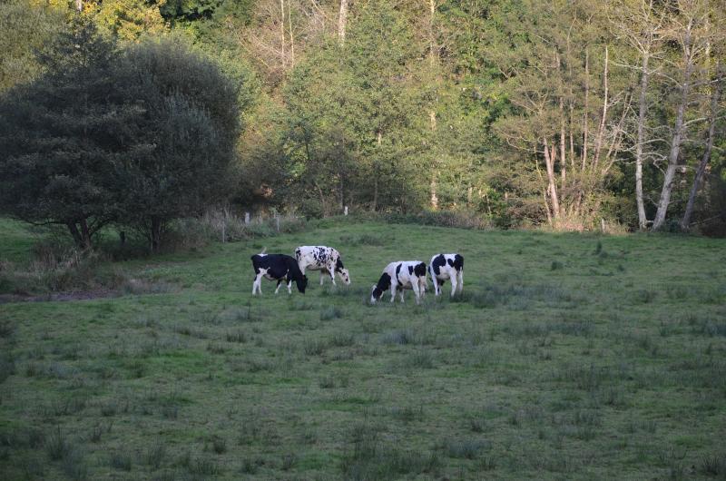 Pont-Bellanger, Calvados