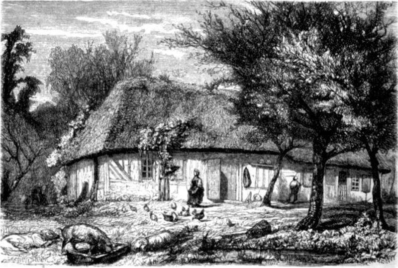 Saint-André-d'Hébertot
