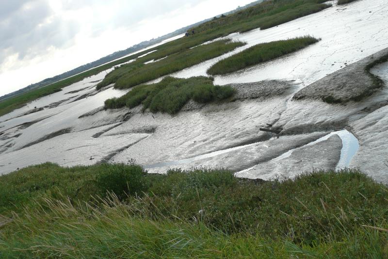 Sallenelles