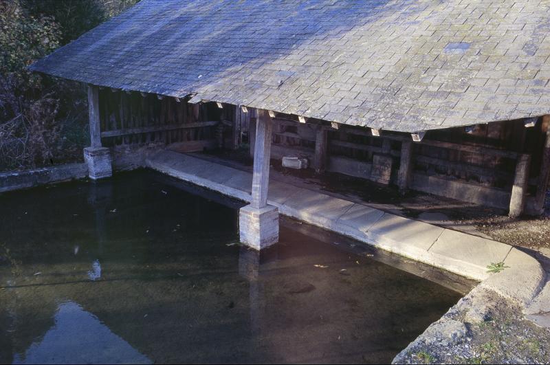 Soulangy
