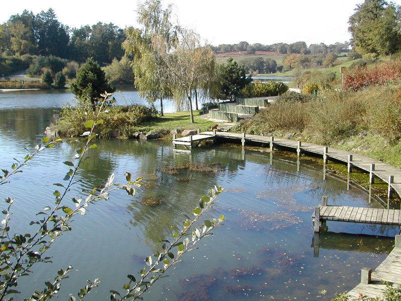 Mauriac