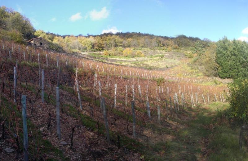 Molompize