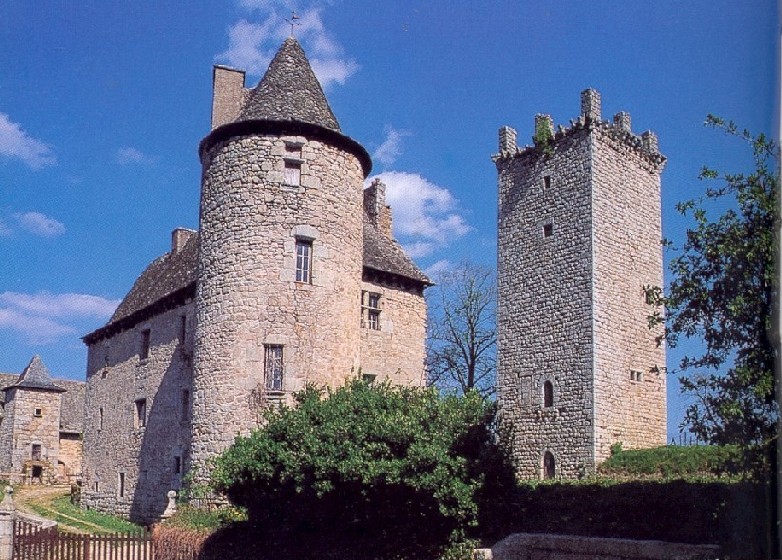 Vieillevie