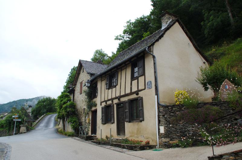 Vieillevie