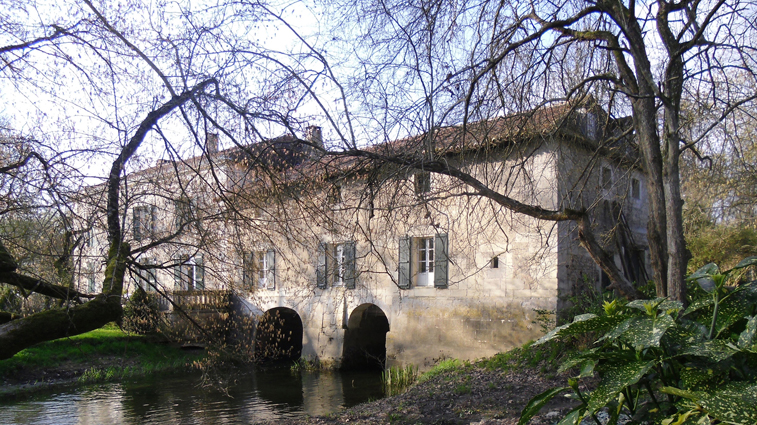 Bonnes