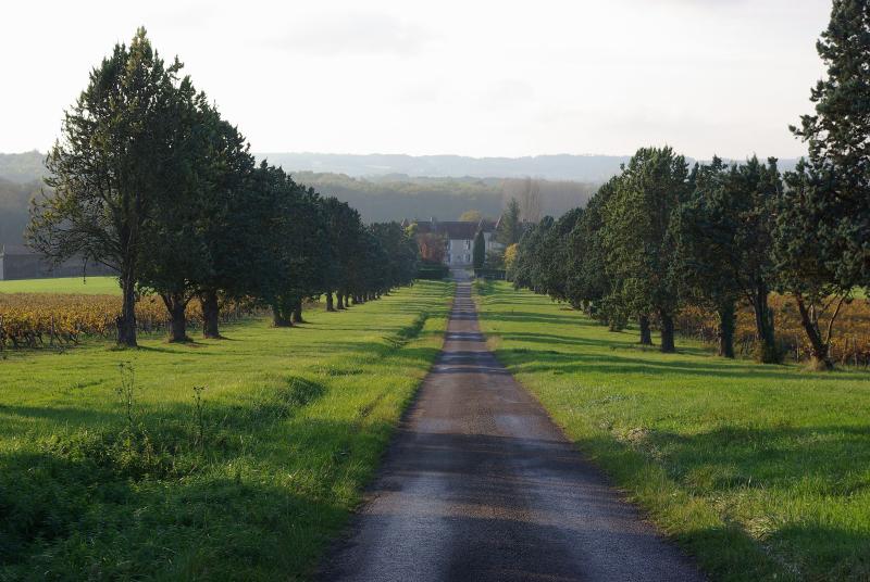 Bors (Canton de Tude-et-Lavalette)