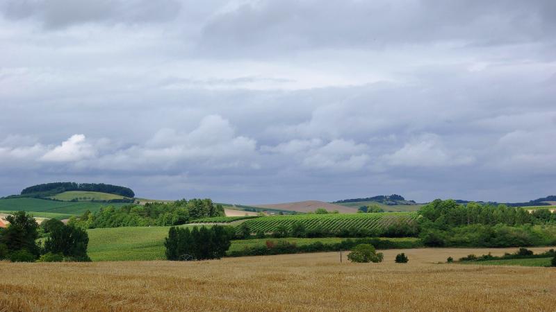 Champagne-Vigny