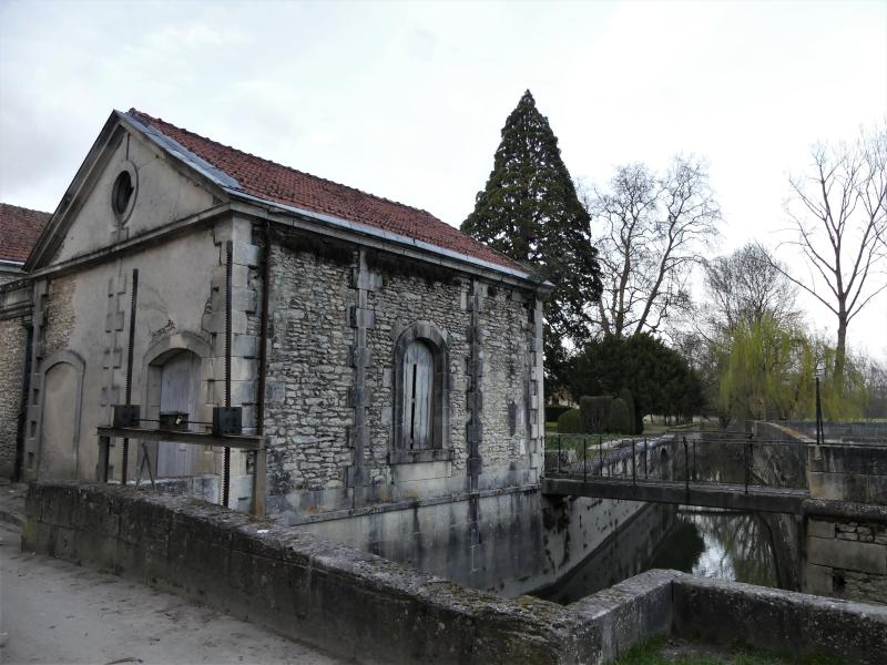Cognac