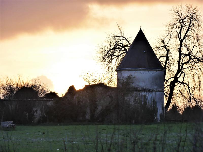 Cognac