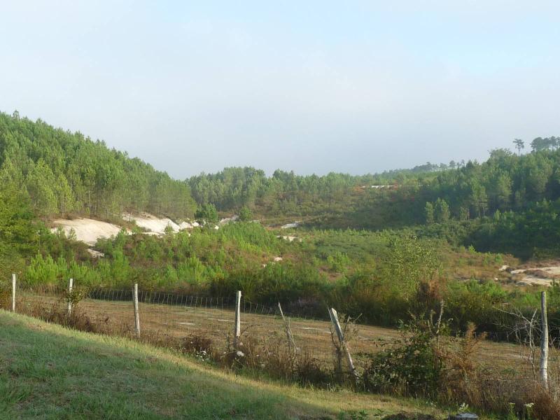 Guizengeard