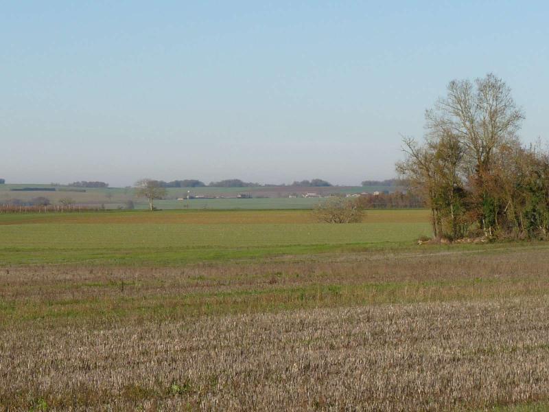 Lonnes