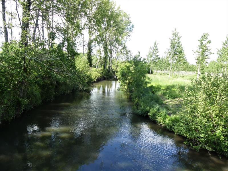 Palluaud