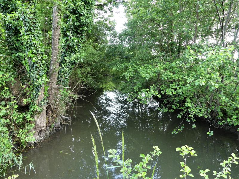 Salles-Lavalette