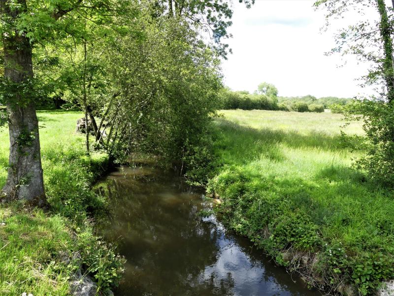 Salles-Lavalette