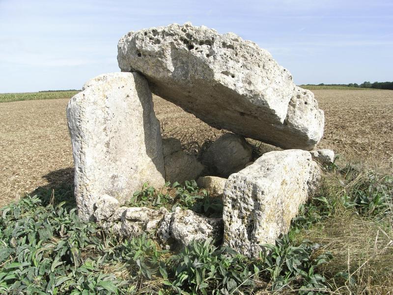 Ardillières