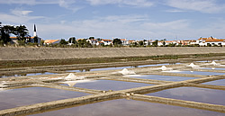 Ars-en-Ré