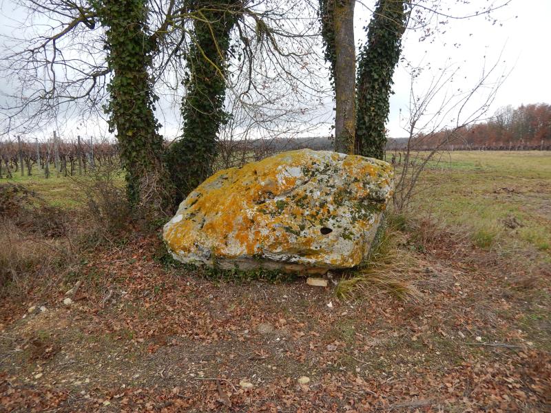Aumagne