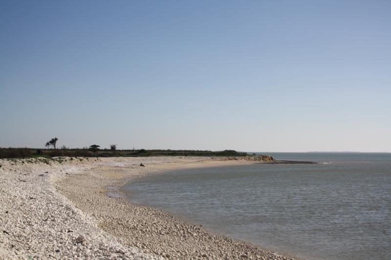 Photo 3 - Aytré, Charente-Maritime (17440)