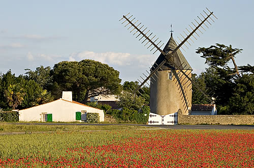Le Bois-Plage-en-Ré