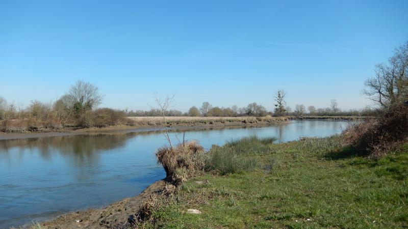 Champdolent