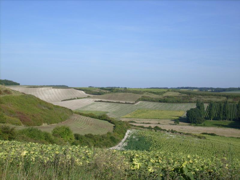 Chenac-Saint-Seurin-d'Uzet