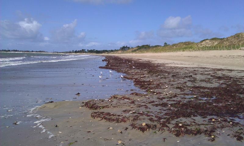 Photo 2 — La Couarde-sur-Mer, Charente-Maritime (17670)