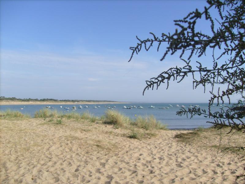 Dolus-d'Oléron