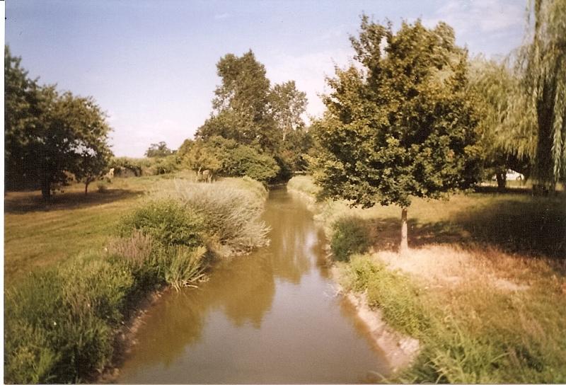 Migré