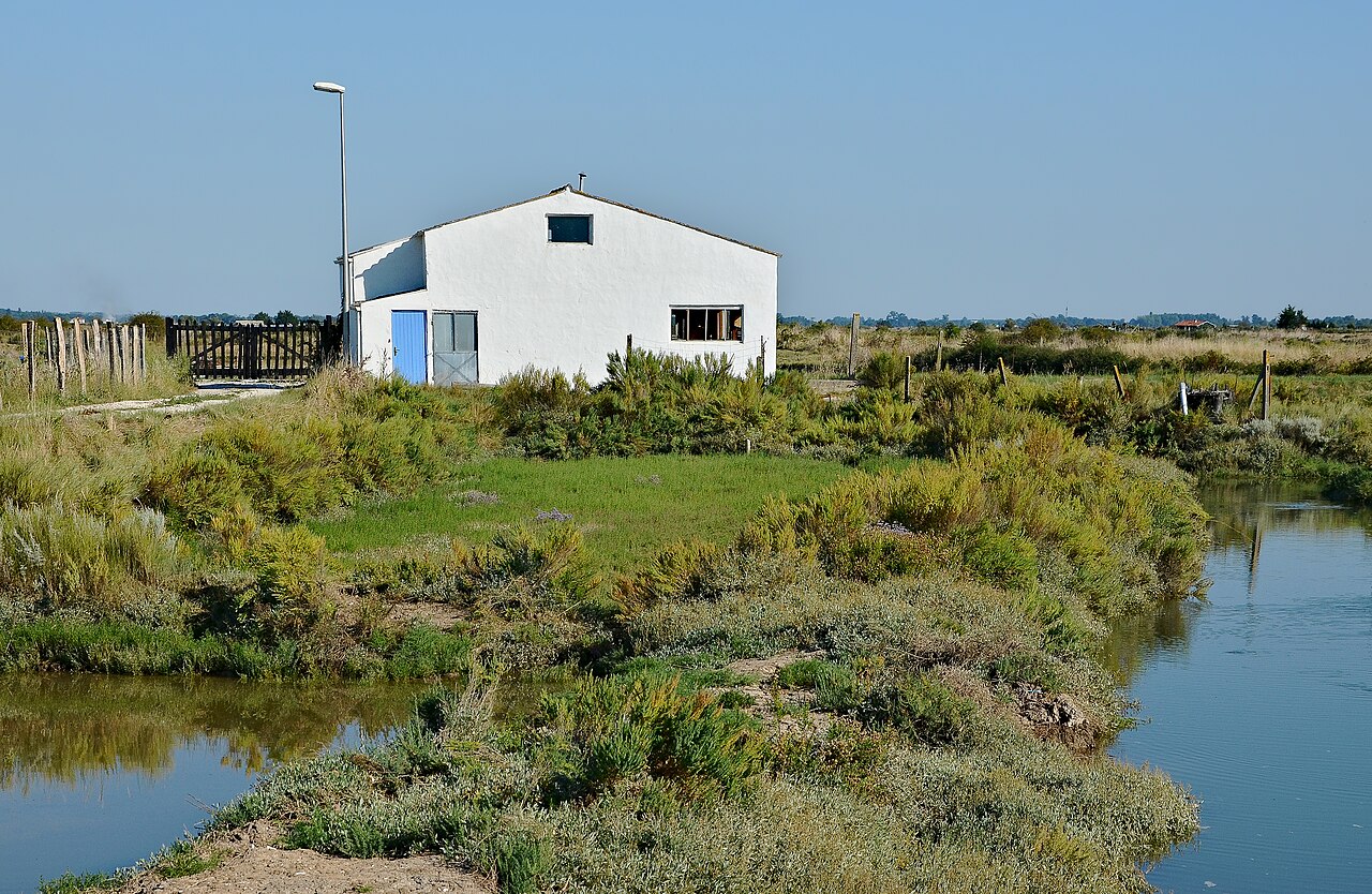 Photo 9 — Mornac-sur-Seudre, Charente-Maritime (17113)