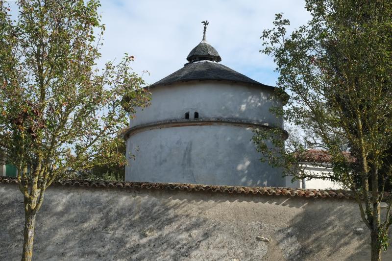 Photo 4 - Nieul-sur-Mer, Charente-Maritime (17137)