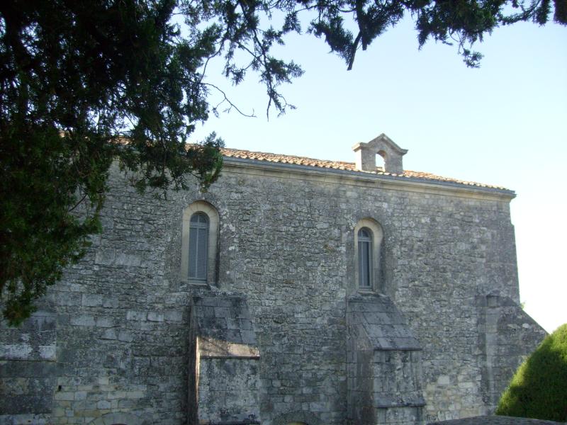 Pons
