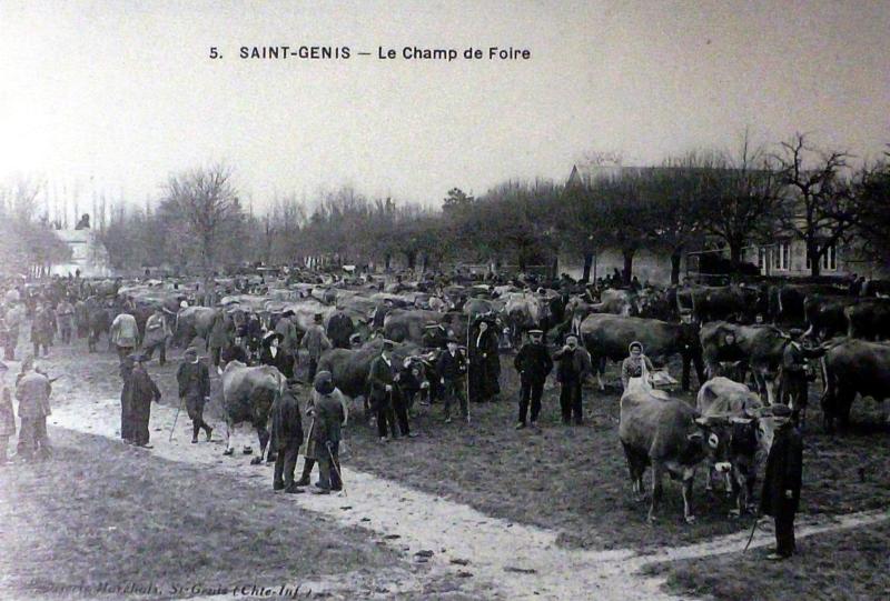 Saint-Genis-de-Saintonge
