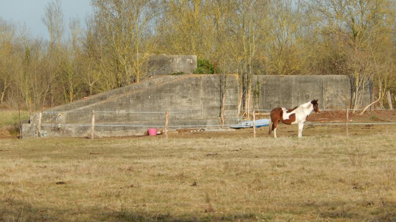 Saint-Ouen-d'Aunis