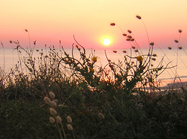 Saint-Pierre-d'Oléron